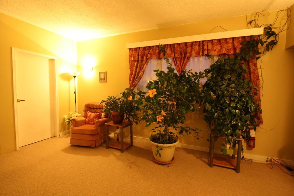 Acheson Villa Maria Country Inn מראה חיצוני תמונה