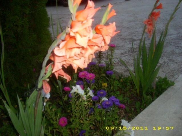 Acheson Villa Maria Country Inn מראה חיצוני תמונה